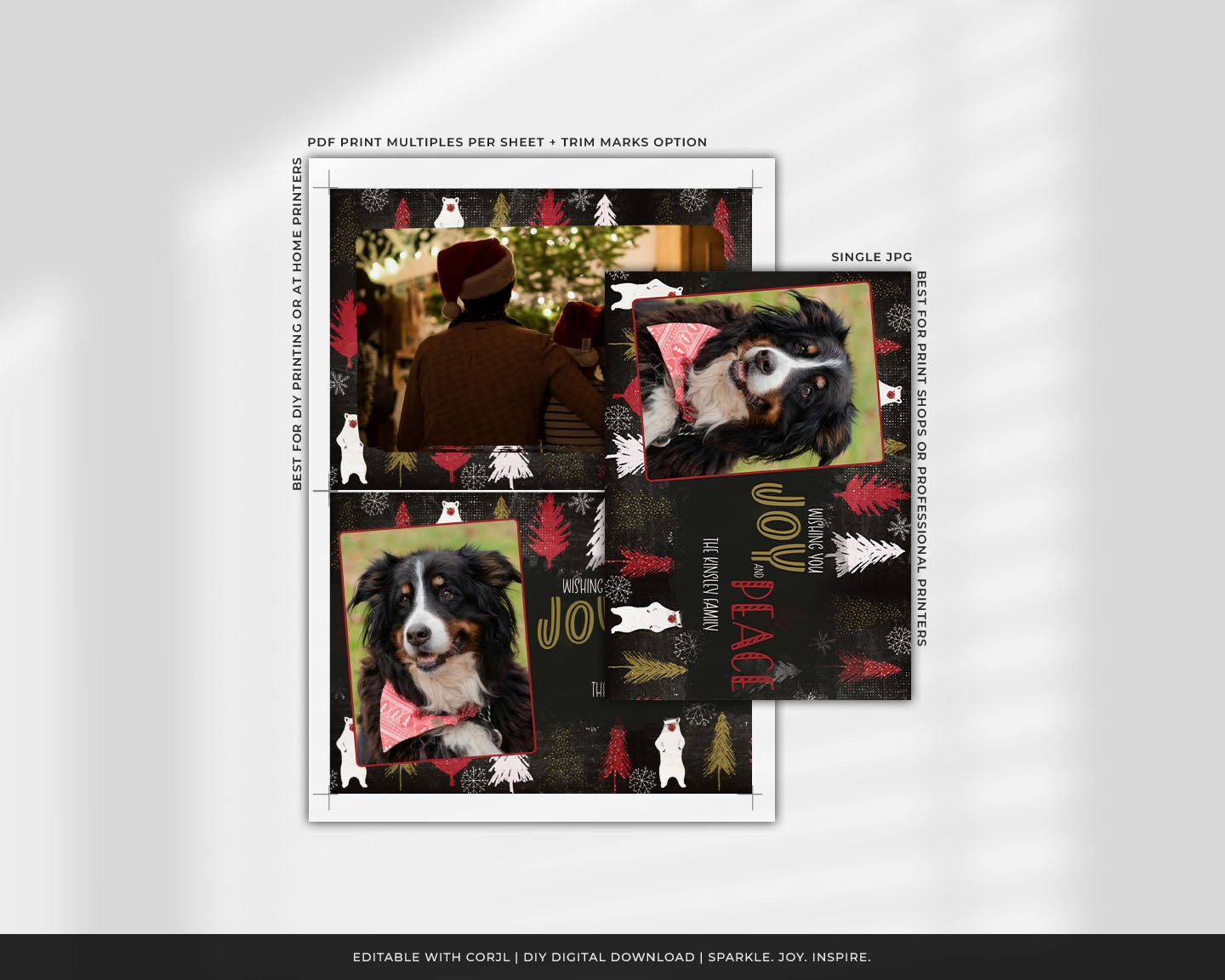 Dark Bear & Trees Custom Photo Christmas Card