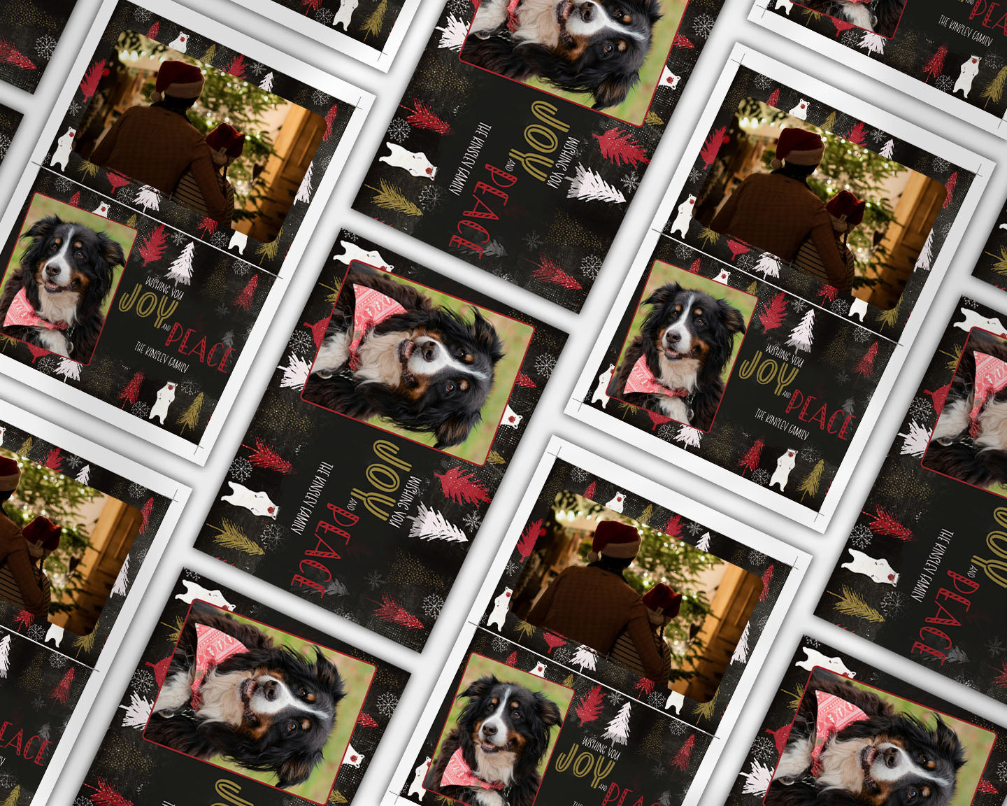 Dark Bear & Trees Custom Photo Christmas Card